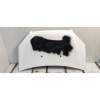 Recambio de capot para fiat doblo cargo (223) 1.3 jtd referencia OEM IAM   06