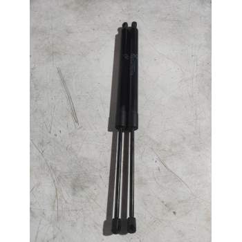 AMORTIGUADORES MALETERO / PORTON DT11V406A10 5P 2014