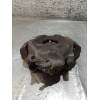 Recambio de pinza freno delantera derecha para bmw x1 (e84) sdrive 18 d referencia OEM IAM  20DCI 2009