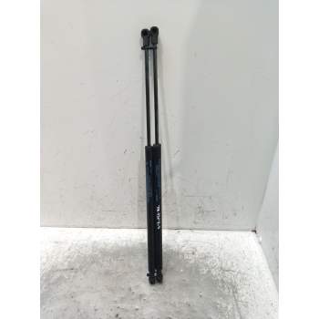 AMORTIGUADORES MALETERO / PORTON 19E20C3 2019