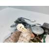Recambio de elevalunas trasero izquierdo para mitsubishi montero sport (k90) referencia OEM IAM MR144537 0621006554 5P