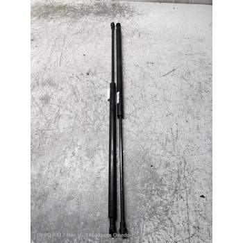 AMORTIGUADORES MALETERO / PORTON 8186084E00 475N