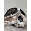 Recambio de mangueta delantera izquierda para mercedes-benz clase c (w206) c 220 d referencia OEM IAM R2060100  
