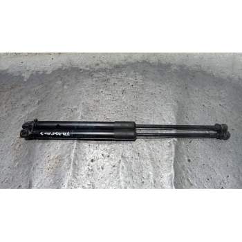 AMORTIGUADORES MALETERO / PORTON 904516026R 