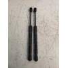 Recambio de amortiguadores capo para bmw serie 5 lim. (f10) 520d referencia OEM IAM 239964 5123730911703 