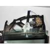 Recambio de elevalunas trasero izquierdo para audi a3 (8l) 1.9 tdi referencia OEM IAM 8L4959801A  5P