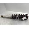 Recambio de amortiguador trasero para bmw serie 5 berlina (e39) 530d referencia OEM IAM 33521093646  