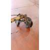 Recambio de puente trasero para citroën xsara (n1) 1.6 16v referencia OEM IAM DISCO/ABS 16G 2001