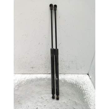 AMORTIGUADORES MALETERO / PORTON 904500004R 2009