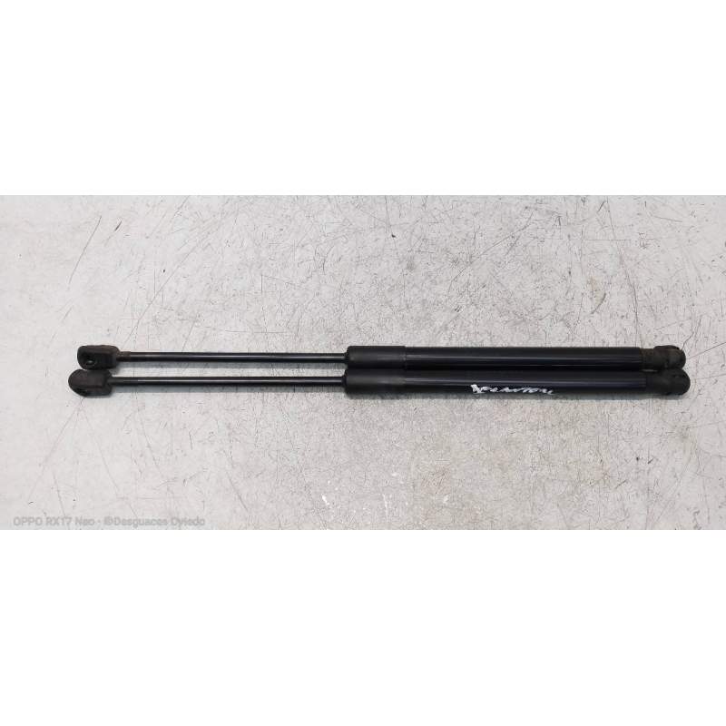 Recambio de amortiguadores capo para bmw serie x1 (f48) sdrive18d referencia OEM IAM 51237329410  