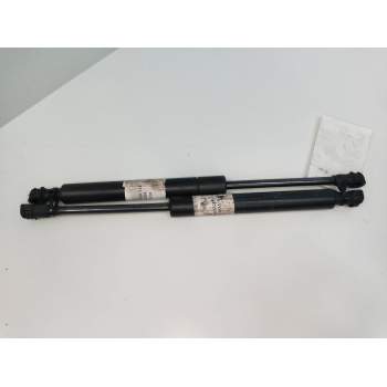 AMORTIGUADORES MALETERO / PORTON 1X43F406A10AB 