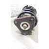 Recambio de amortiguador delantero derecho para ford focus lim. titanium referencia OEM IAM BV6118045LBB  