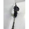 Recambio de cremallera direccion para citroën c4 picasso avatar referencia OEM IAM  16HDI 2010