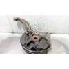 Recambio de mangueta delantera derecha para land rover range rover sport v6 td hse referencia OEM IAM   
