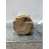 Recambio de bomba combustible para ford mondeo ber. (ca2) ghia referencia OEM IAM 56007810 8200029163A 2007