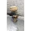 Recambio de bomba freno para mitsubishi montero (v20/v40) 2.8 turbodiesel referencia OEM IAM   