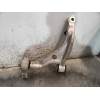 Recambio de brazo suspension inferior delantero derecho para lexus is 300h referencia OEM IAM   