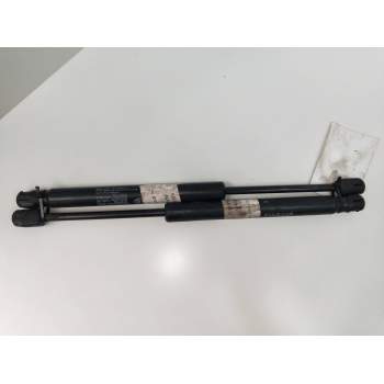 AMORTIGUADORES MALETERO / PORTON 817713F002 