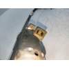 Recambio de elevalunas delantero izquierdo para renault espace (j11) 2.1 turbodiesel referencia OEM IAM   5P