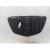 Recambio de rejilla delantera para lancia ypsilon (101) 1.4 cat referencia OEM IAM   