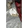 Recambio de piloto trasero izquierdo para hyundai santa fe (bm) 2.2 crdi classic (2wd) referencia OEM IAM   