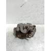 Recambio de pinza freno delantera derecha para ford kuga (cbs) titanium referencia OEM IAM   