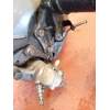 Recambio de puente trasero para ford tourneo connect 1.8 tdci referencia OEM IAM 9T164B435BD DISCO/ABS 2008