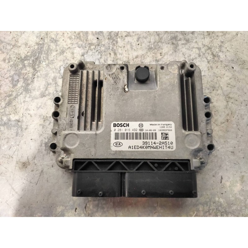 Recambio de centralita motor uce para kia cee´d drive referencia OEM IAM 0281016492 391142A510 BOSCH