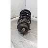 Recambio de amortiguador delantero derecho para ford ka (ccu) trend + referencia OEM IAM G7305  