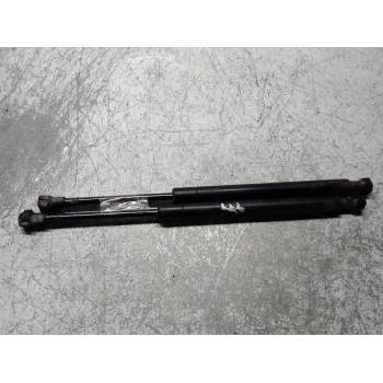 AMORTIGUADORES MALETERO / PORTON 51248254281 COUPE 320N