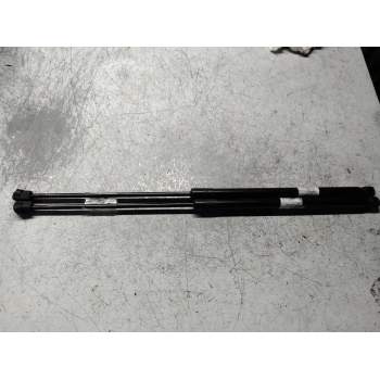 AMORTIGUADORES MALETERO / PORTON 13182537 240N 2006