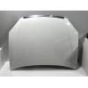 Recambio de capot para fiat croma (194) 1.9 8v jtd cat (939a1000 / 192a8000) referencia OEM IAM   2005
