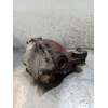 Recambio de diferencial trasero para jaguar xj 2.7 d xj6 executive referencia OEM IAM 2W934A213BC 27D 2005