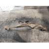Recambio de brazo suspension superior trasero izquierdo para nissan qashqai (j10) acenta referencia OEM IAM   