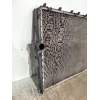 Recambio de radiador agua para bmw x3 (e83) 2.0d referencia OEM IAM 3403551  