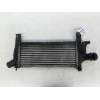 Recambio de intercooler para nissan pathfinder (r51) 2.5 dci xe referencia OEM IAM 14461EB360  