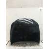 Recambio de capot para bmw 5 (e60) 520 d referencia OEM IAM   2007