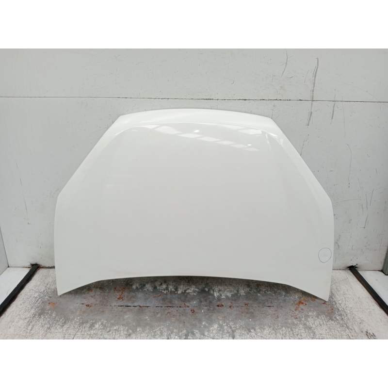 Recambio de capot para fiat doblo cargo (263_) 1.3 d multijet (263wxu1a) referencia OEM IAM   2016