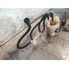 Recambio de bomba combustible para land rover discovery v6 td s referencia OEM IAM   
