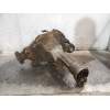 Recambio de diferencial delantero para land rover discovery v6 td s referencia OEM IAM   