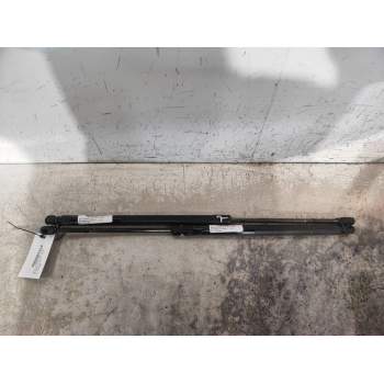 AMORTIGUADORES MALETERO / PORTON 811614D000 2006