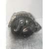 Recambio de alternador para renault megane i classic (la0) 1.6e rn referencia OEM IAM 8200862865  