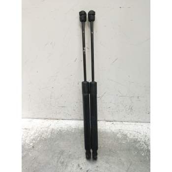 AMORTIGUADORES MALETERO / PORTON 550N 2009