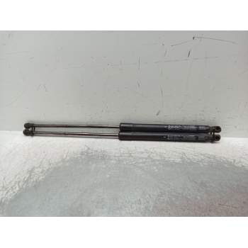 AMORTIGUADORES MALETERO / PORTON 904520237R 2020