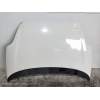 Recambio de capot para fiat punto (evo) (199) dynamic referencia OEM IAM   