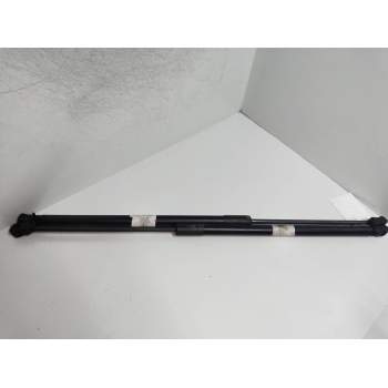 AMORTIGUADORES MALETERO / PORTON 315005777 