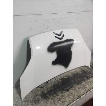 CAPOT 2010
