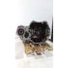 Recambio de caja cambios para nissan qashqai (j10) acenta referencia OEM IAM   6V