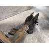 Recambio de amortiguador delantero izquierdo para nissan qashqai (j10) acenta referencia OEM IAM 54303JD01A  