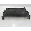 Recambio de radiador agua para renault scenic ii authentique referencia OEM IAM  20G 2003